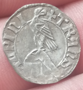 Ducat Vladislav Voda I